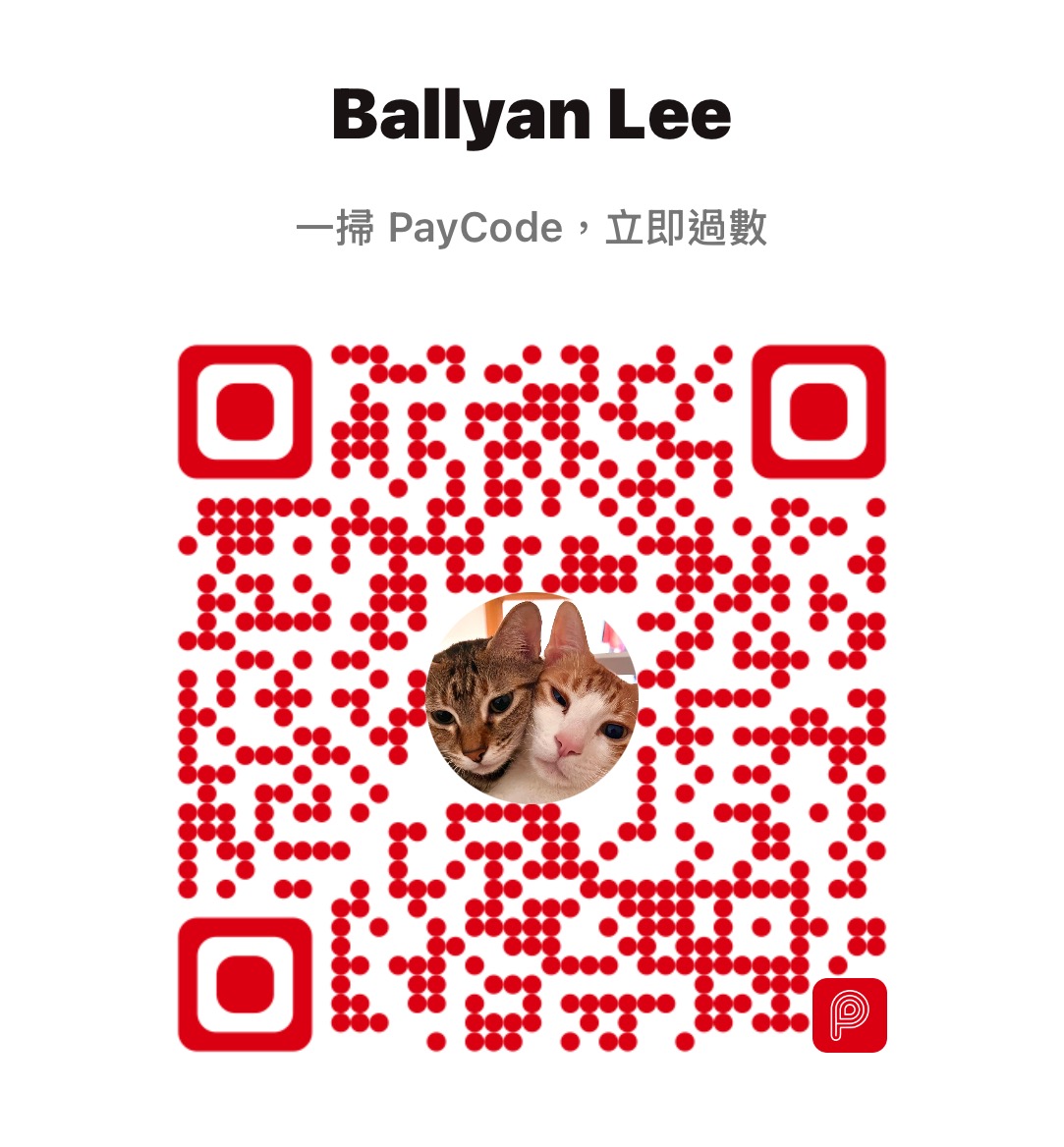 YAN PAYME